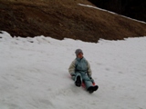 luge
